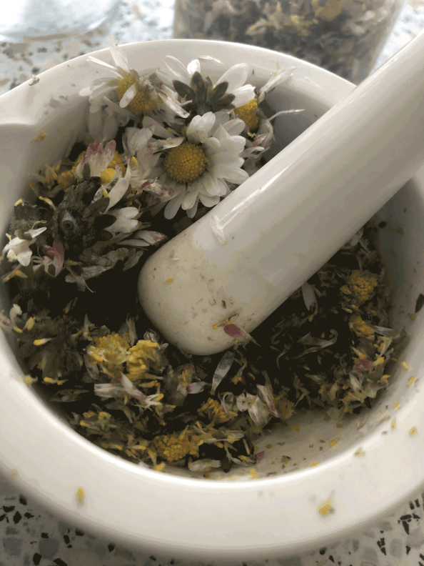 Gänseblümchen im Mörser